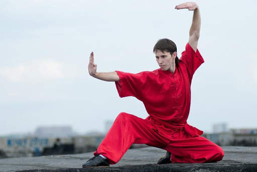 Learn Kung Fu Training 2020 8 تصوير الشاشة