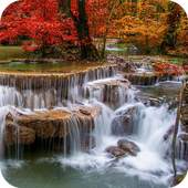 Nature Wallpapers 1.01