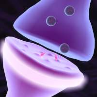 IC: Synaptic Transmission