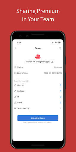 Team VPN screenshot 3