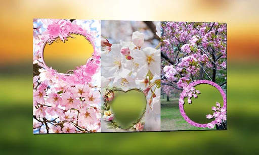 Sakura Photo Frames screenshot 8