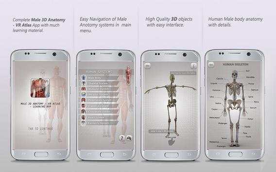 Human Anatomy 3D: Male body structure screenshot 1