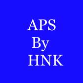 APS Final A/Cs (Sole Trader)