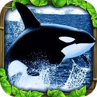 Orca Simulator icon