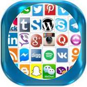 popular social media 1.0