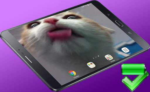 Cat Lick Screen Live Wallpaper screenshot 7