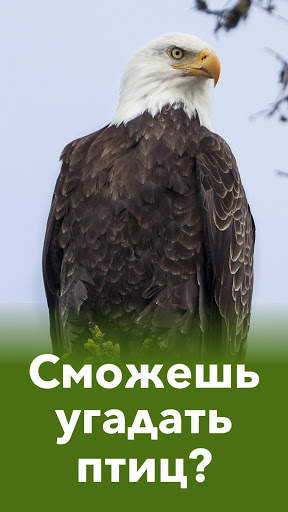 Животные - Все звери и птицы в тесте по зоологии! скриншот 2