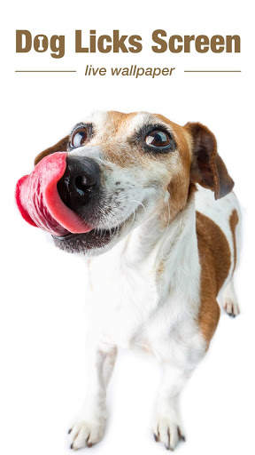 Dog Licks Screen Wallpaper 2019 скриншот 4