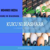 Kuku ni Biashara on 9Apps