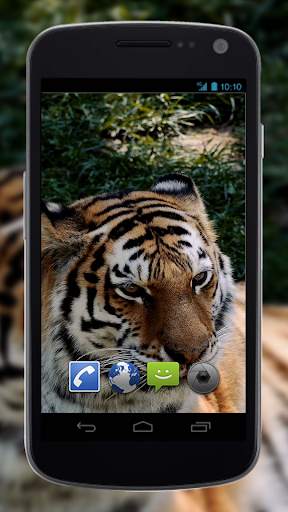 4K MightyTiger Video Live Wallpaper screenshot 2