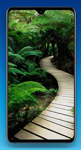 Nature Wallpaper HD screenshot 14