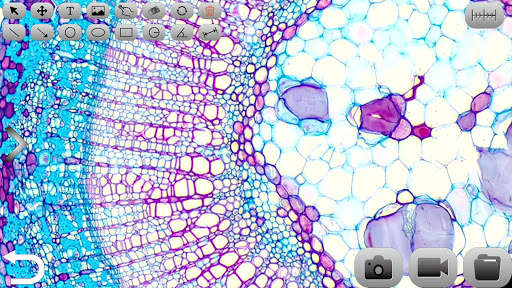 KoPa WiFi Lab screenshot 2
