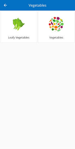 Big Veg Basket screenshot 12