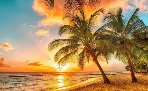 Tropical Wallpaper screenshot 3