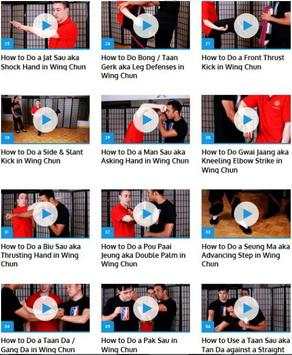 Wing Chun screenshot 3