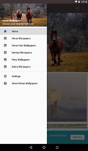 Beautiful Horse Wallpapers 1 تصوير الشاشة