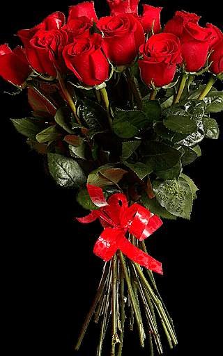 Red Rose Live Wallpaper screenshot 15