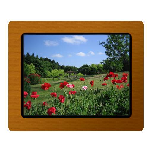 Various Photo Widget 1.3.8r