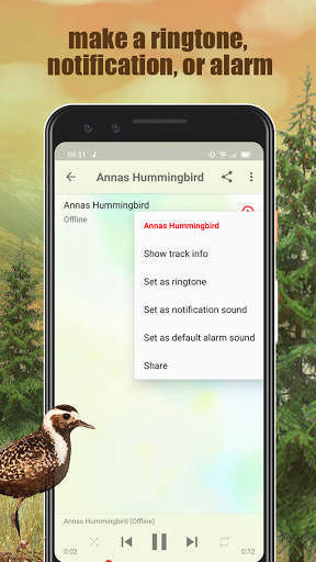 All Bird Sound And Ringtones screenshot 4