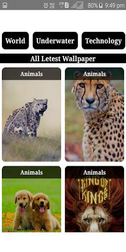 Wallpaper Mobile : Best HD Wallpaper Collection screenshot 2