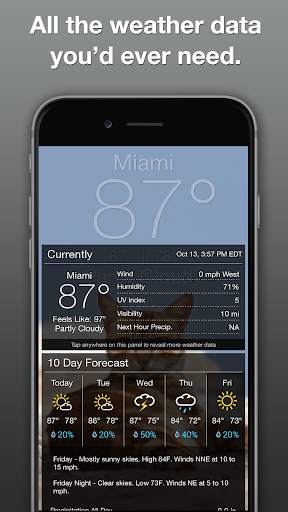 Grumpy Cat Weather screenshot 5