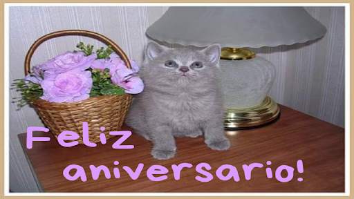 Feliz aniversário! - fotos screenshot 1