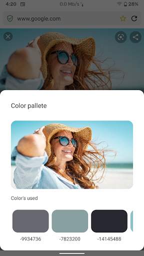 Jaquar Internet Browser-A light weight Web browser screenshot 2