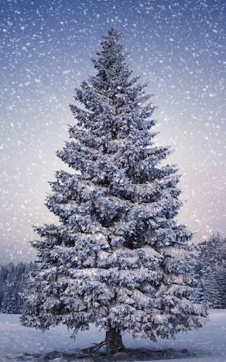HD Christmas Live Wallpaper screenshot 6
