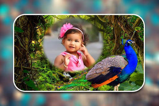 Peacock Photo Frames screenshot 12