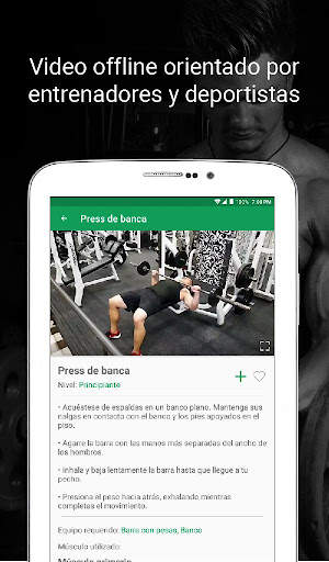 Fitvate - Entrenamiento en Gym screenshot 13
