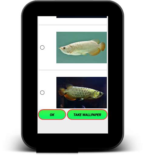 Arowana Live Wallpaper screenshot 12
