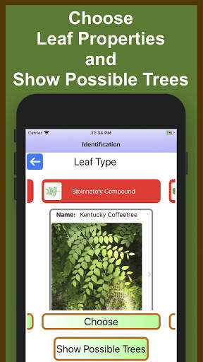 Forest Tree Identification скриншот 2