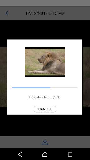 Canon Connect Station screenshot 4