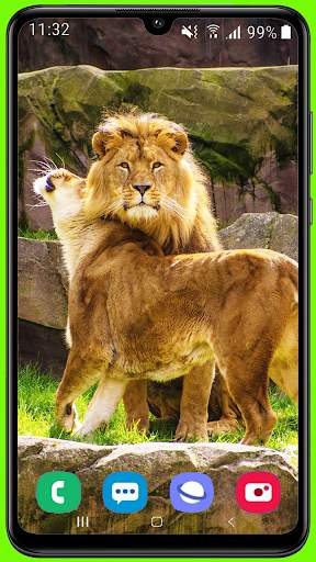 Lion Wallpaper Best HD screenshot 2