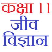 Class 11 Biology Notes & Solutions (in hindi) 1.4