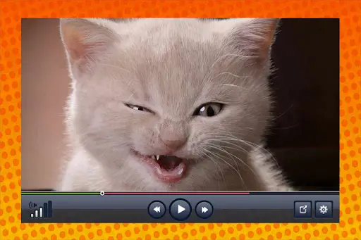 Funny Videos screenshot 3