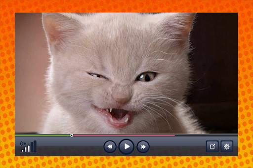Funny Videos screenshot 3