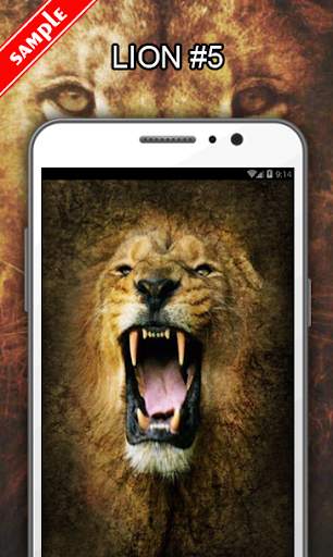 Lion Wallpapers screenshot 6