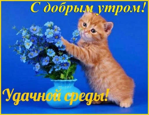 С добрым утром Открытки и Kартинки 2020 screenshot 5