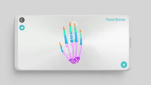 Anatomy 3D screenshot 3