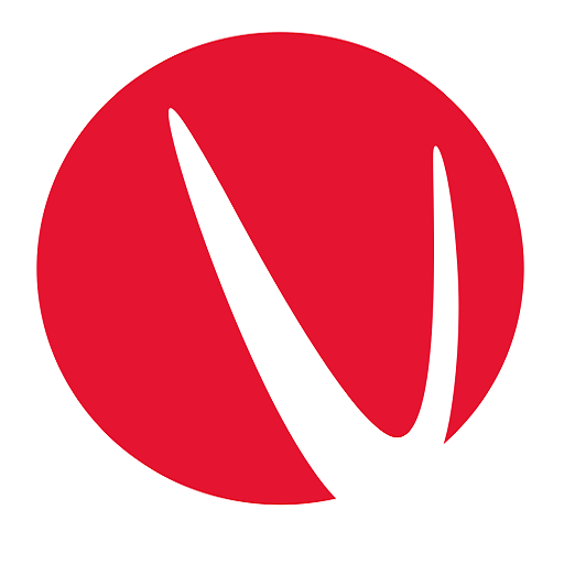 V8-20 icon