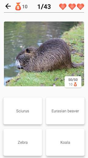 Mammals – Learn All Animals in screenshot 8