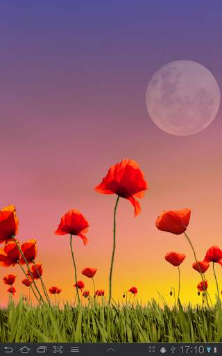 Poppy Field Free screenshot 15