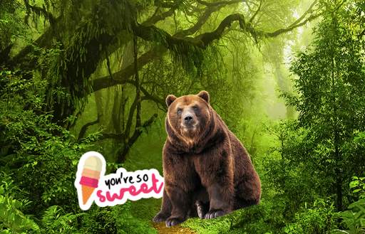 Wild Animal Photo Frames screenshot 1