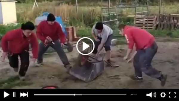 Funny videos screenshot 4