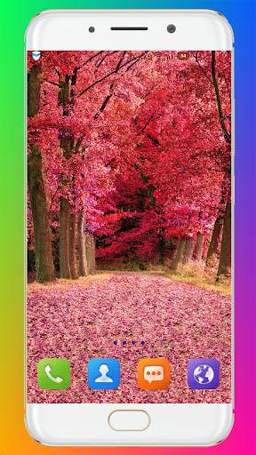 Fall Wallpaper HD screenshot 14