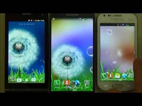 Dandelion Live Wallpaper screenshot 1