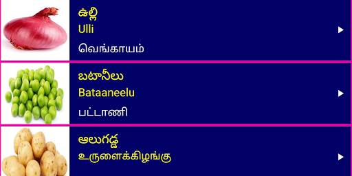 Learn Telugu From Tamil screenshot 14