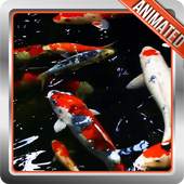 Koi Fish Live Wallpaper 2.0