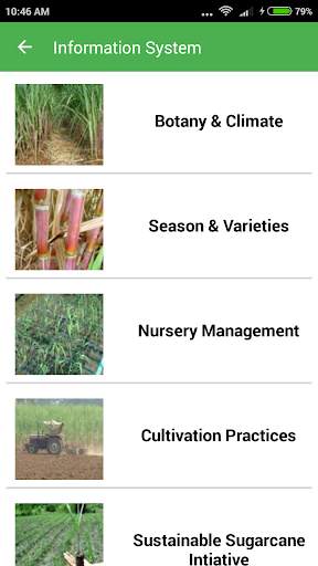 Sugarcane Expert System screenshot 3